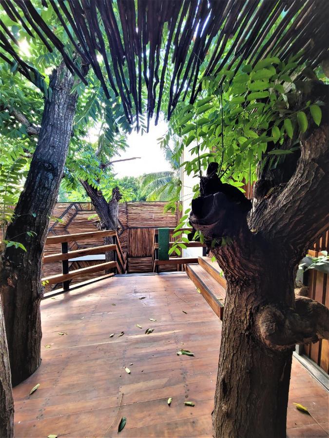 Malakai Hostel ตูลุม ภายนอก รูปภาพ